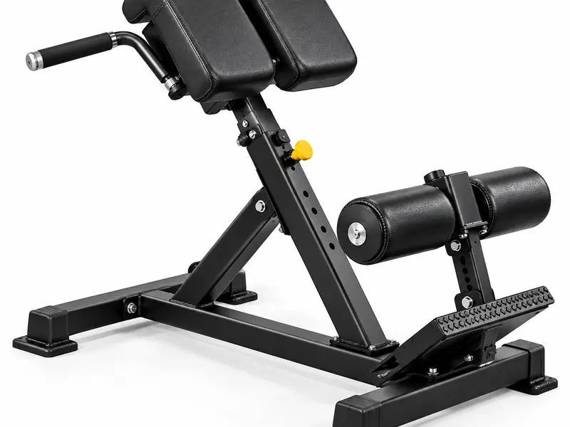 Back extension bench at Xavion Fitness Studio, Thindal, Erode